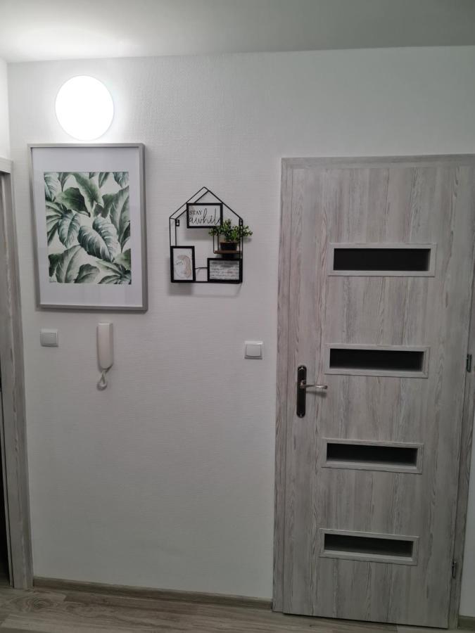 Apartament Nova Przy S3 Nowa Sol Bagian luar foto